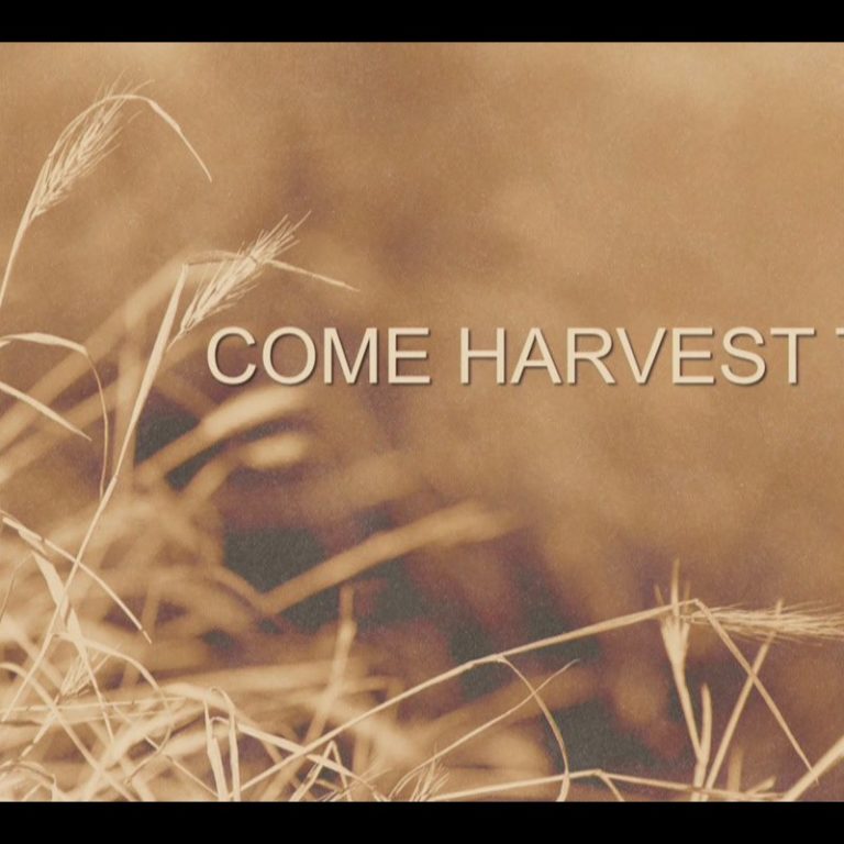 2022 Come Harvest Time